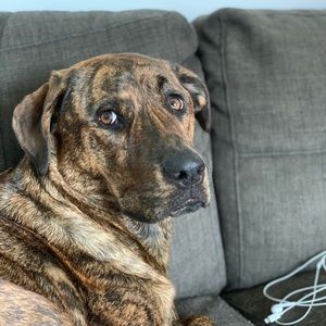 Meet your Posher, Karin